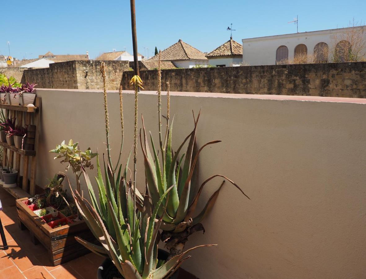 Apartamento En Juderia La Murallita Córdoba Exteriér fotografie
